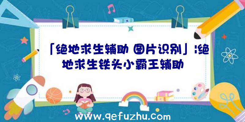 「绝地求生辅助